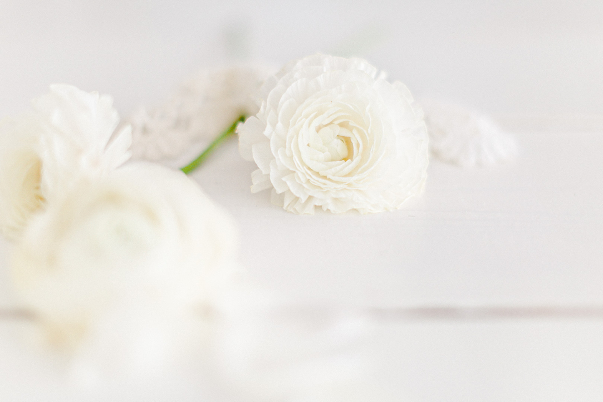 Inspiration Printemps